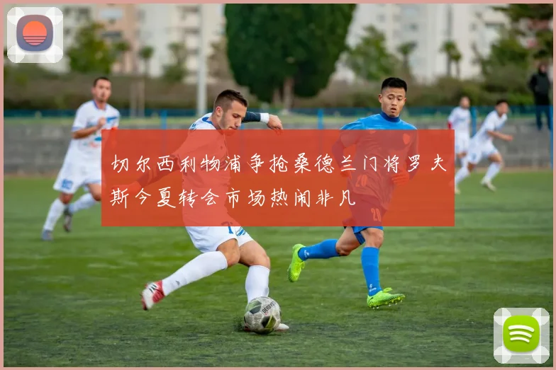 切尔西利物浦争抢桑德兰门将罗夫斯今夏转会市场热闹非凡